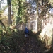 2012-11 22 Ternat 016