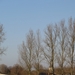 2012-11 22 Ternat 021