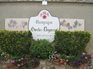 2008 DE KASTELEN VAN DE LOIRE 037