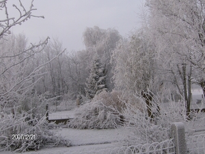 winterltaferelen