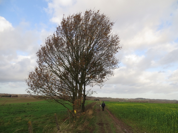 2012-11 22 Ternat 009