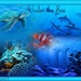 dagles25undertheseaox1