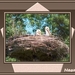 vijfhoekframe