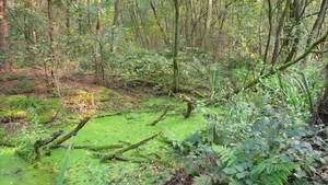 P1000541