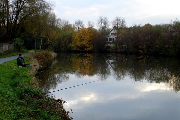 wandeling Denderleeuw