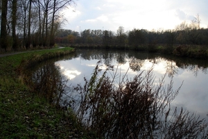 2012_11_18 Denderleeuw 15