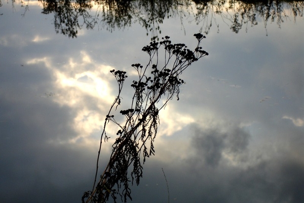 wandeling Denderleeuw