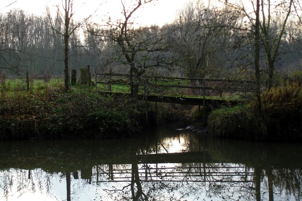 wandeling Denderleeuw