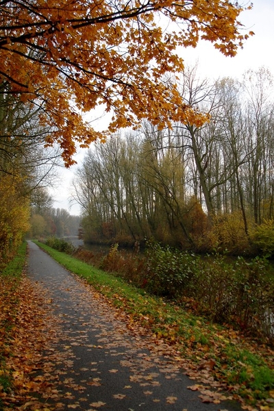 wandeling Denderleeuw