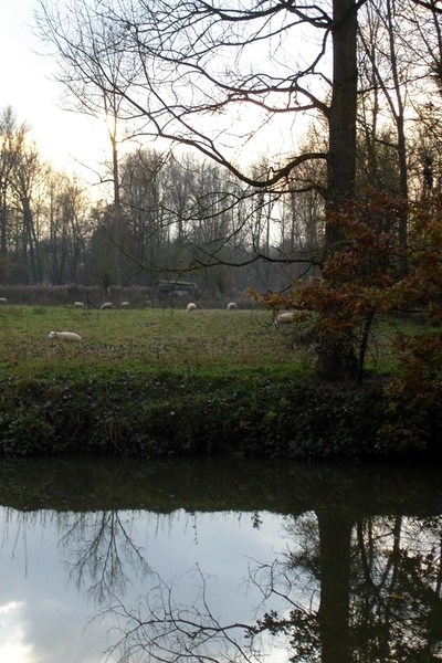 wandeling Denderleeuw