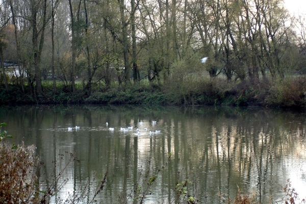 wandeling Denderleeuw