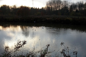 2012_11_18 Denderleeuw 26