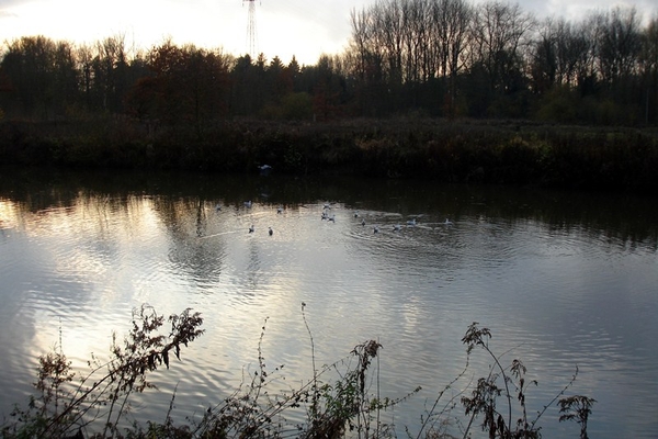 wandeling Denderleeuw