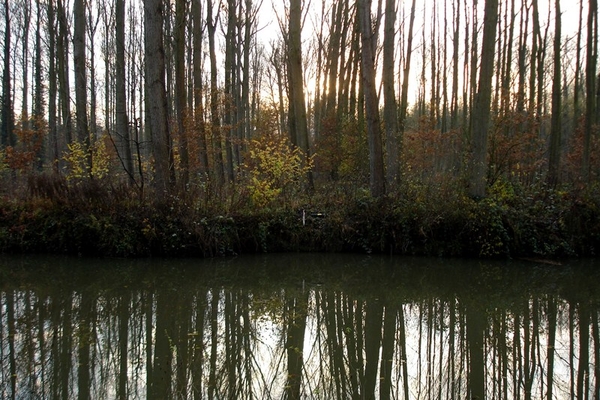 wandeling Denderleeuw