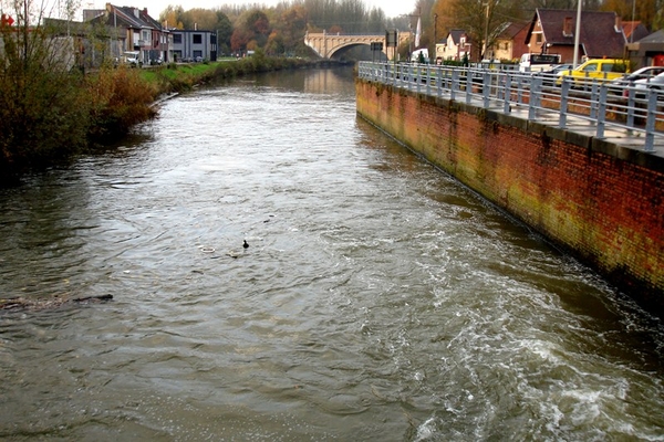 wandeling Denderleeuw
