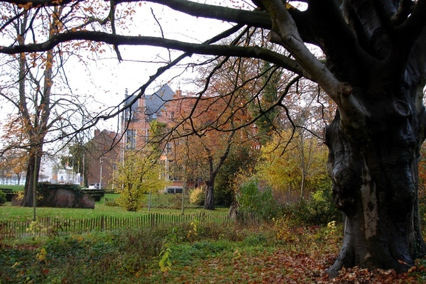 wandeling Denderleeuw