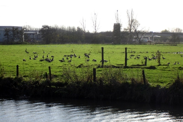 wandeling Denderleeuw