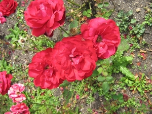 Tsjechie 19-8-12 174