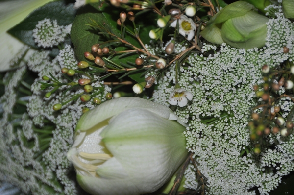 001  HET ZATERDAG....ONDERONSJE...!