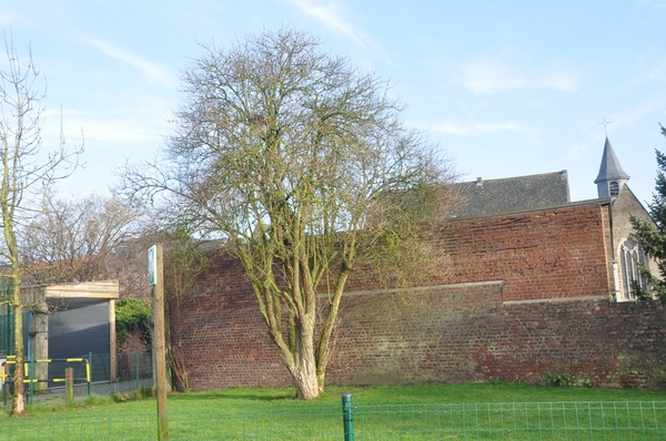 001  EEN GENOEGDOENING...EEN WATERZONNETJE !