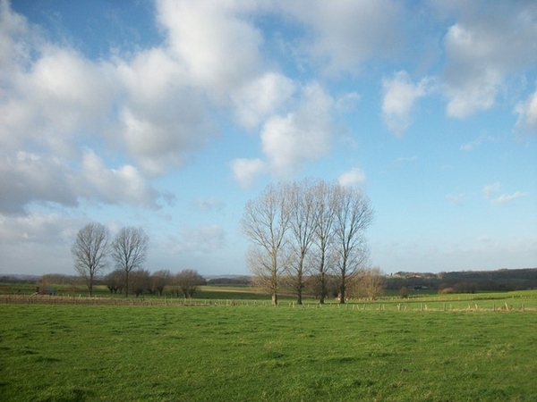 12-Natuurgebieden in Viane