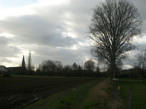 81-Viane in de verte......