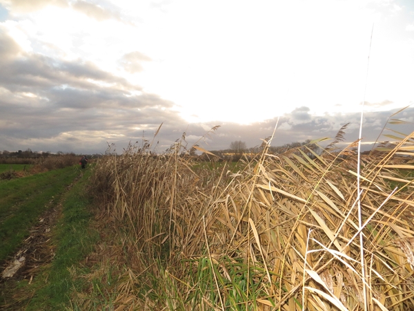 2012-11 26 Diksmuide 069