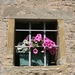 Carcassonne