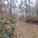 2012-12-01 Meldert(Limb) 016