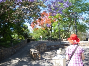 IMGP2025Cerro(heuvel) San Bernardo Salta