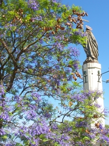 IMGP2031Park San Bernardo in Salta