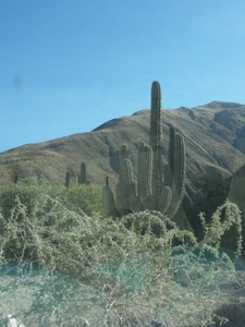 IMGP2039 Weg van Salta naar San Antonio de Los Cobres