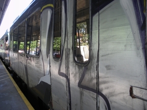 IMGP2084 Tren de la costa, Buenos Aires