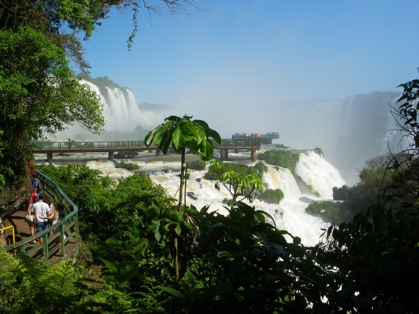 IMGP2204  Nationaal Park van Iguazu langs de Braziliaanse kant, v