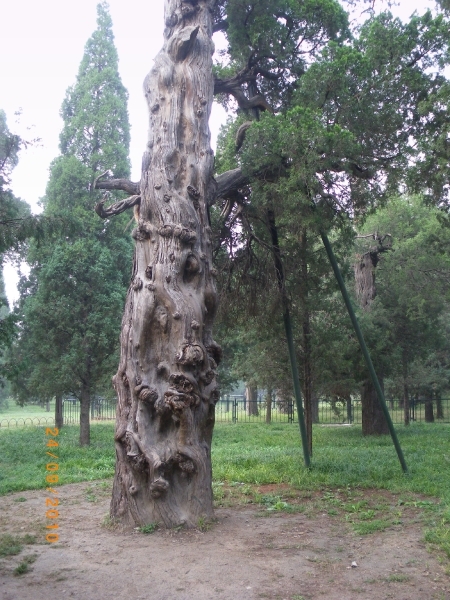Beijing complex Tempel van de Hemel