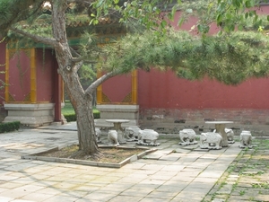 Beijing-bezoek aan de Ming-graven (15)