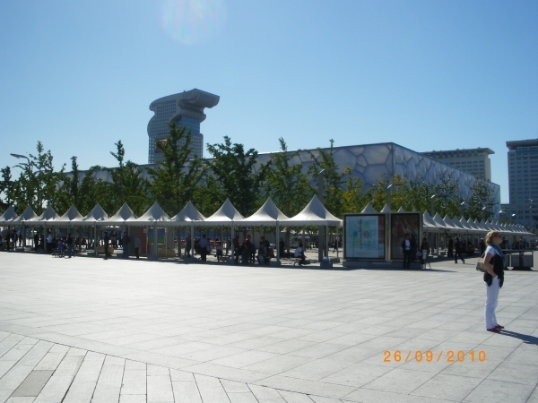Beijing-Olympic stadion (6)