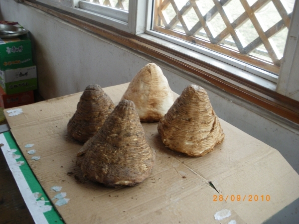 Lijiang-de Yakweide (kaas van Yakmelk)