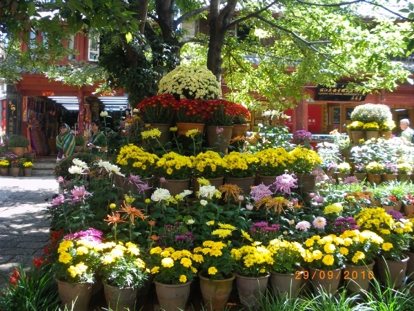 Lijiang,paleis van de Mu