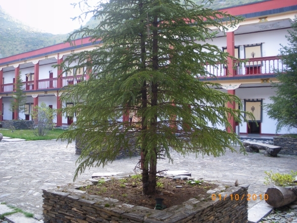 Zhongdian, hotel Gyalthang Dzong (3)