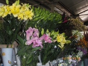 Kunming- bloemenmarkt