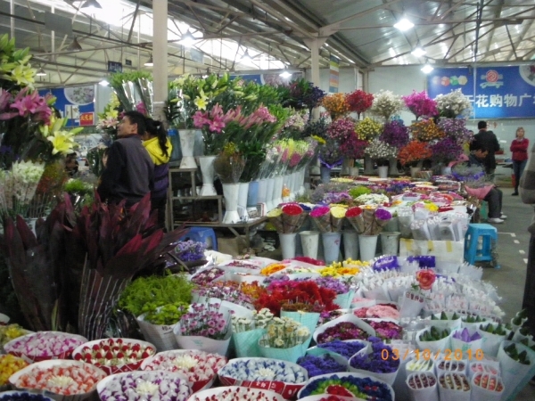 Kunming-bloemenmarkt