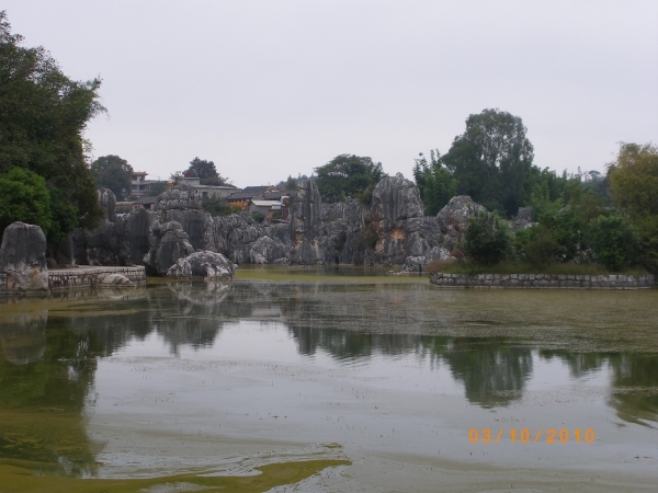 Kunming-'stone forest' (7)