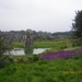 Kunming-'stone forest' (10)