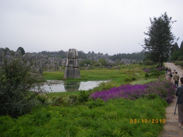 Kunming-'stone forest' (10)