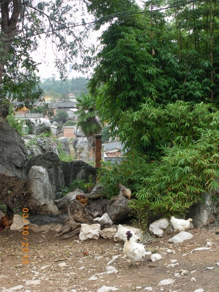 Kunming-'stone forest' (16)