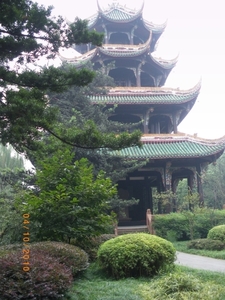 Chengdu (5)