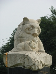 Chengdu-Pandareservaat