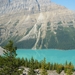 81(1)-Peyto lake