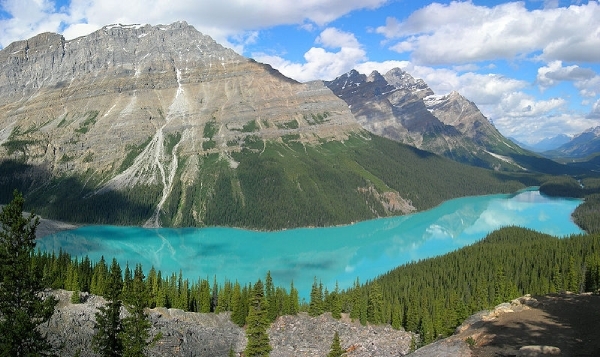 81(2) PeytoLake
